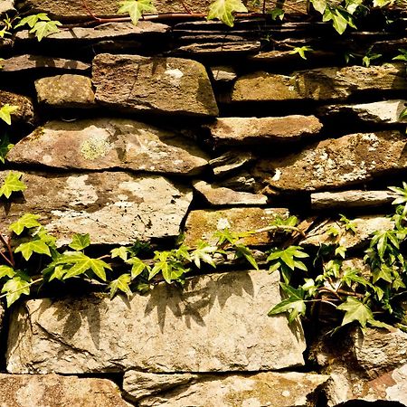 Yha Langdale Vandrarhem Ambleside Exteriör bild