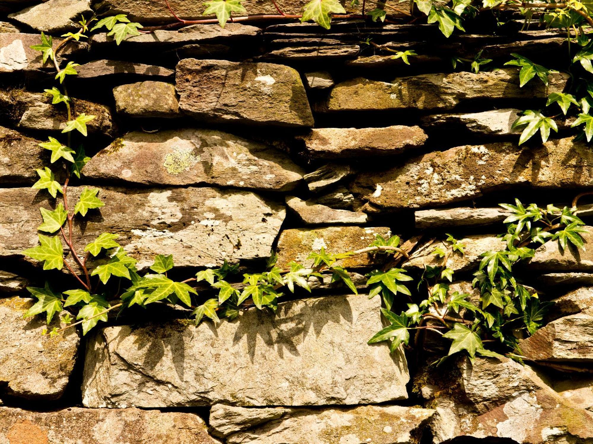 Yha Langdale Vandrarhem Ambleside Exteriör bild