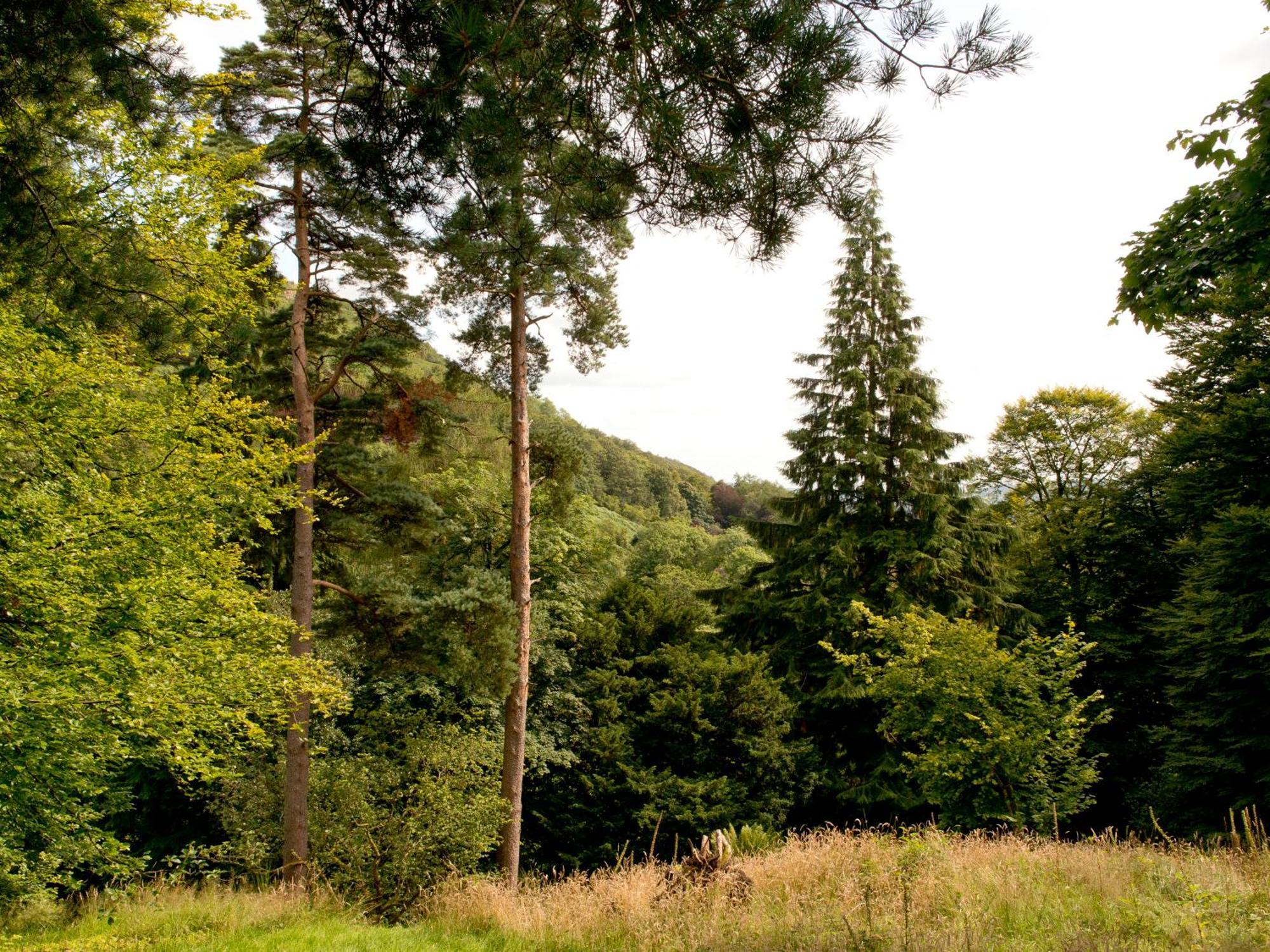 Yha Langdale Vandrarhem Ambleside Exteriör bild